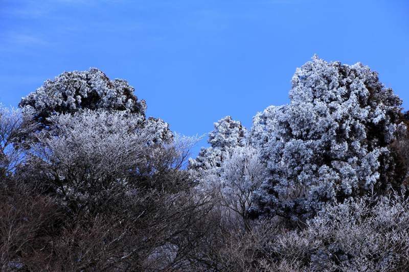 金剛山_2.jpg