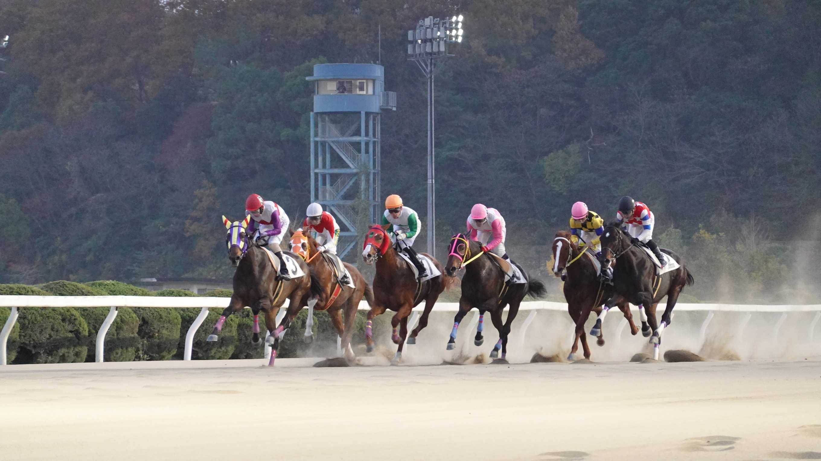 19ページ目の記事一覧 地方競馬の楽天競馬 日替わりライターブログ 楽天ブログ