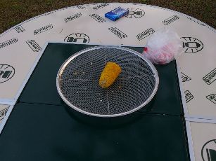 DSC_0218.jpg