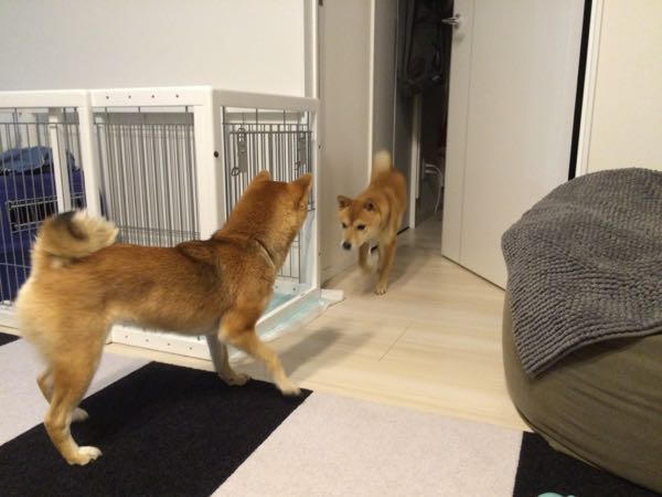 rblog-20151222002346-04.jpg
