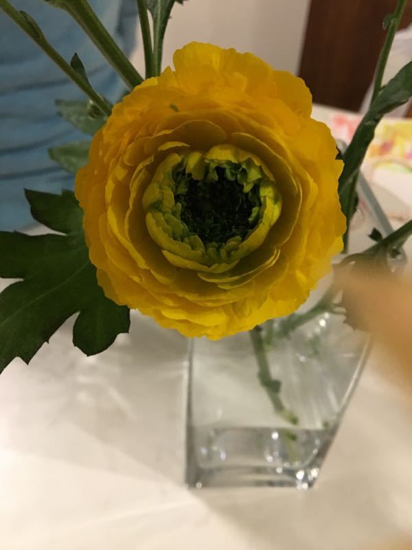 rblog-20190131192750-03.jpg