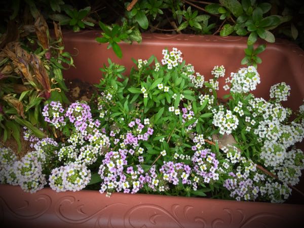 rblog-20151029140616-04.jpg