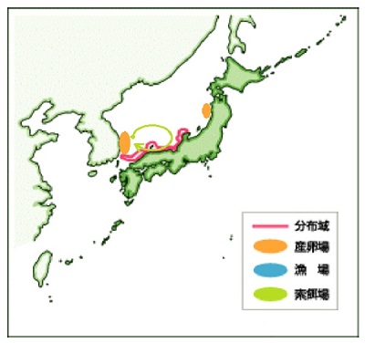 ハタハタの回遊性400.jpg