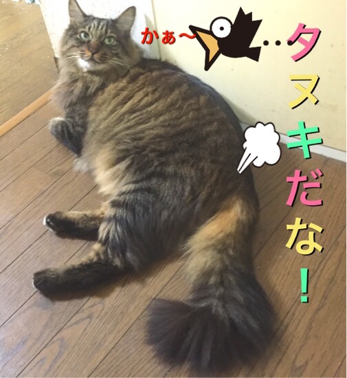 2016-01-28 18.50.15.jpg