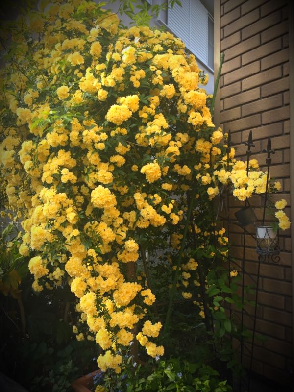 rblog-20160426175049-04.jpg