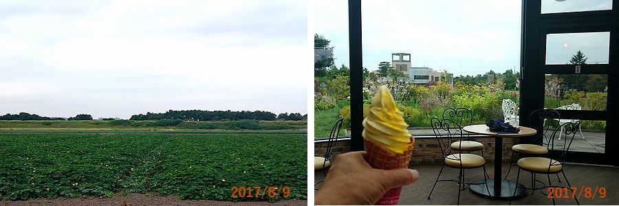 ８／９カボチャソフトを食べた.jpg