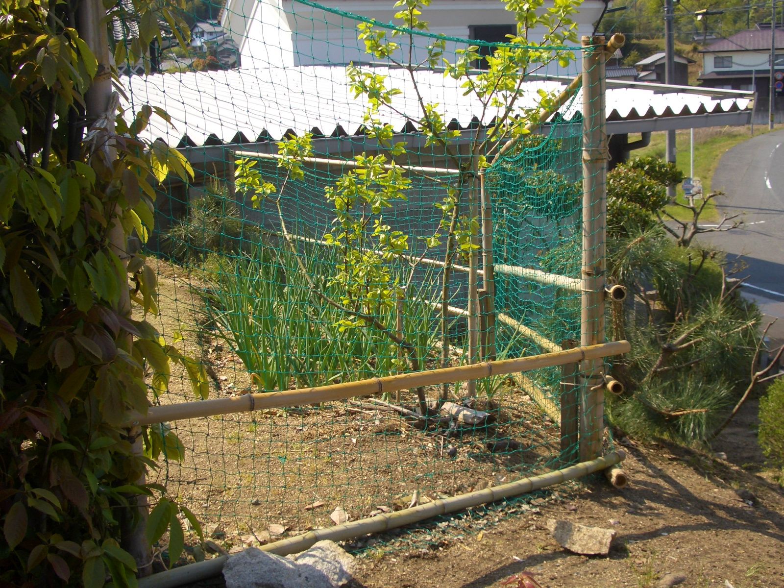 防獣柵作り 竹でも割れない方法 古民家ライフスタイル 楽天ブログ