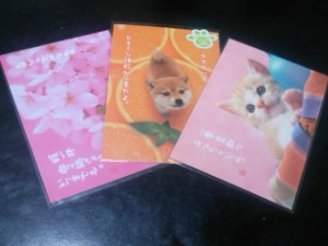 20120915170838.jpg