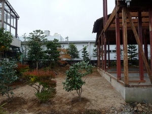 P1000661 (300x225).jpg