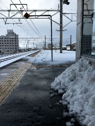 IMG_6746.jpg