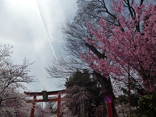 P1040144ss.jpg
