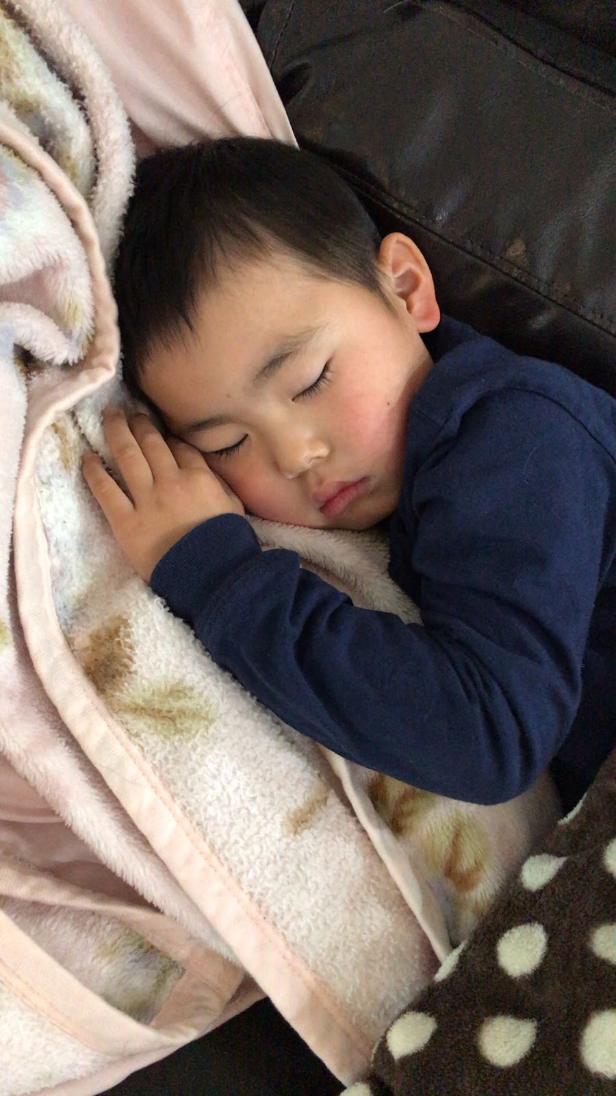 rblog-20190113184321-01.jpg