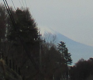 IMG_6078ss.jpg