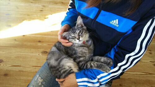 rblog-20171212185845-03.jpg