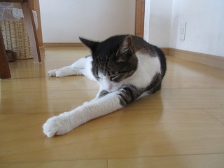 IMG_1823ss.jpg