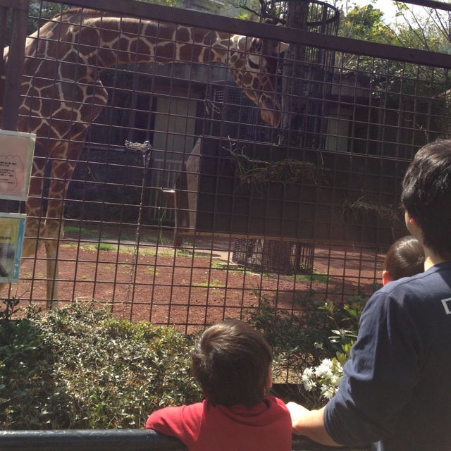 rblog-20130414010458-01.jpg