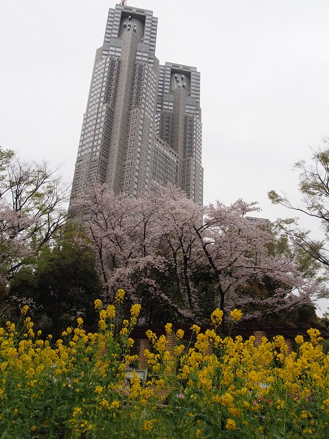 P4050067.jpg