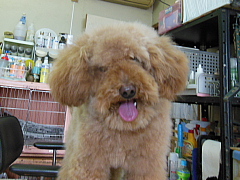 conv0071.JPG