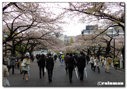 武道館３.jpg