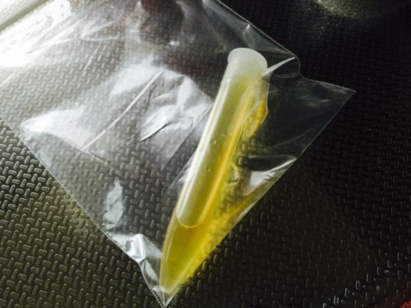 rblog-20150622140322-04.jpg