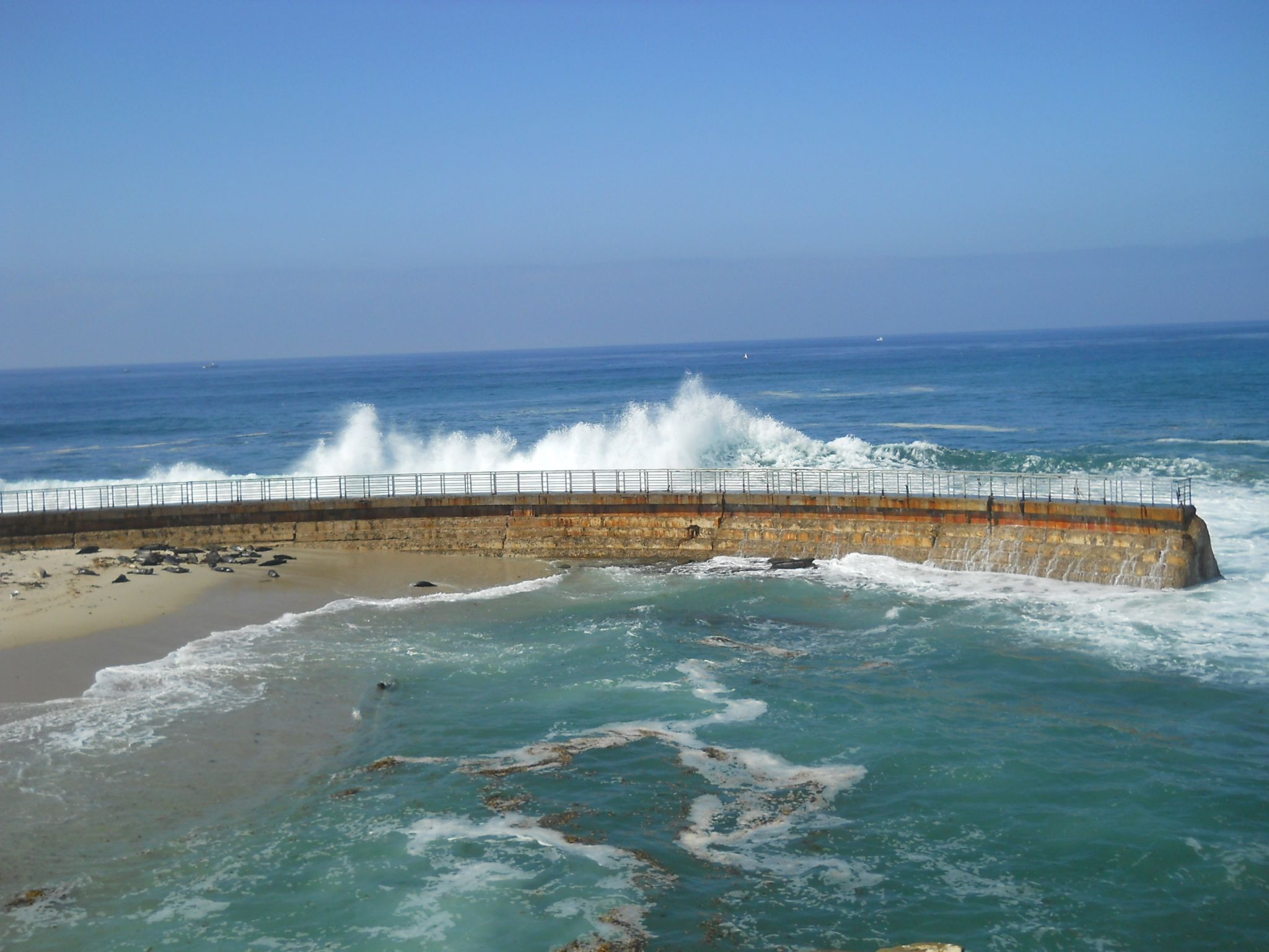 サンディエゴ ラホヤ シュアーズホテル La Jolla Beach 10月14日 ラスベガス ロサンゼルスの旅 楽天ブログ