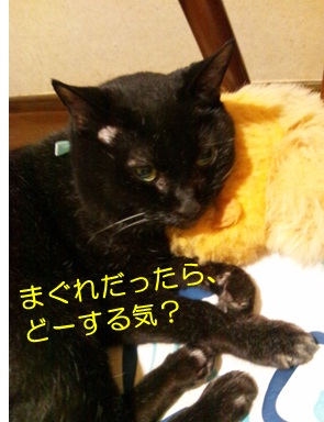 20120829_5.jpg