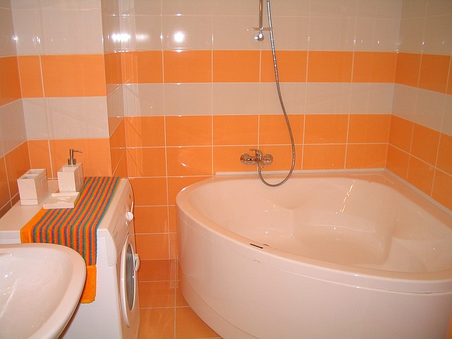 bathroom-1178723_640.jpg