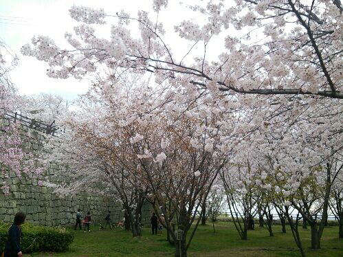 rblog-20160404195652-03.jpg