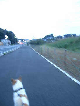 IMG_0046.JPG