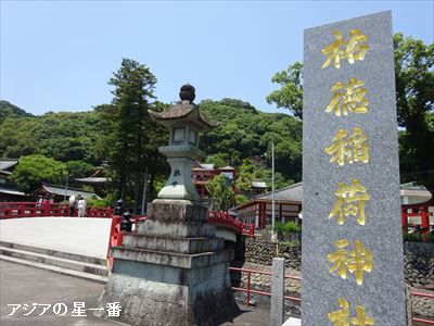 20160523 有明湾干潟10