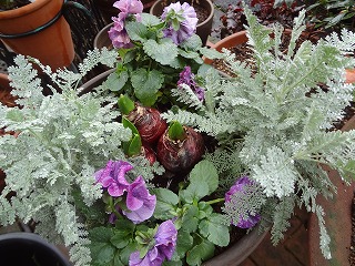 DSC06065.jpg