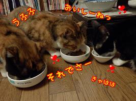 女子会.JPG