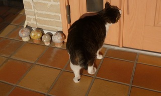 P1130667-ass.jpg