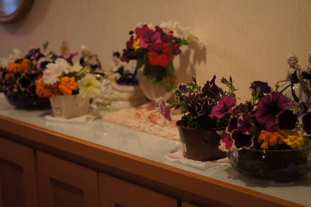 2015_0611切り花0028.JPG