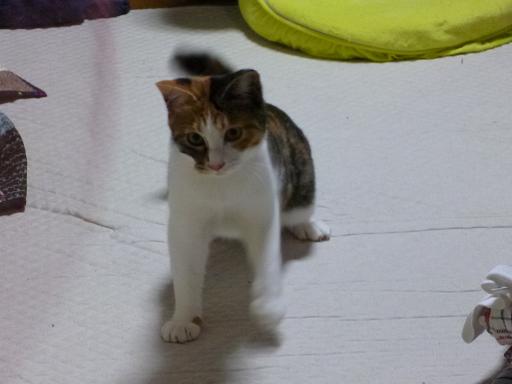 画像 2641.jpg