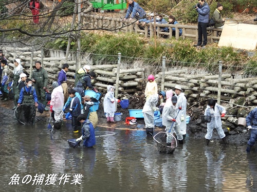 井の頭恩賜公園にて