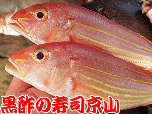 デリバリー　葛飾区　奥戸