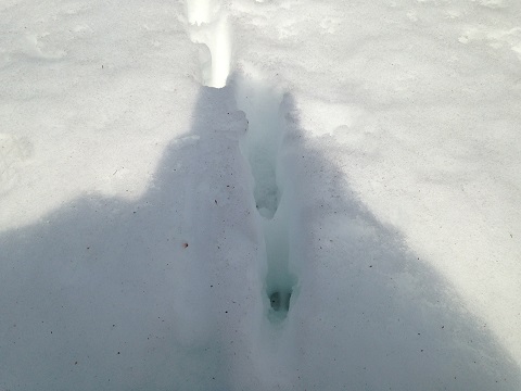 2014-03-09 10.12.07.jpg