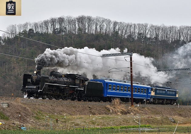 22 D500.jpg