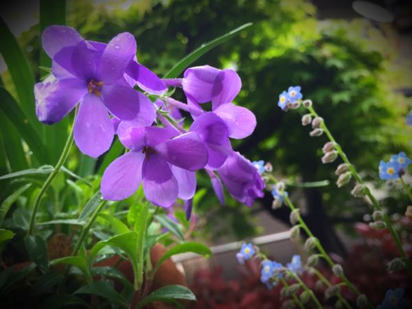 rblog-20160428172311-09.jpg