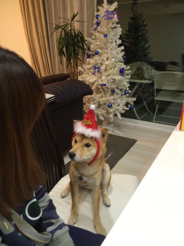 rblog-20151208194504-04.jpg