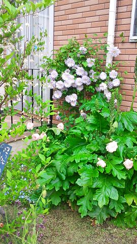 rblog-20140516220438-02.jpg