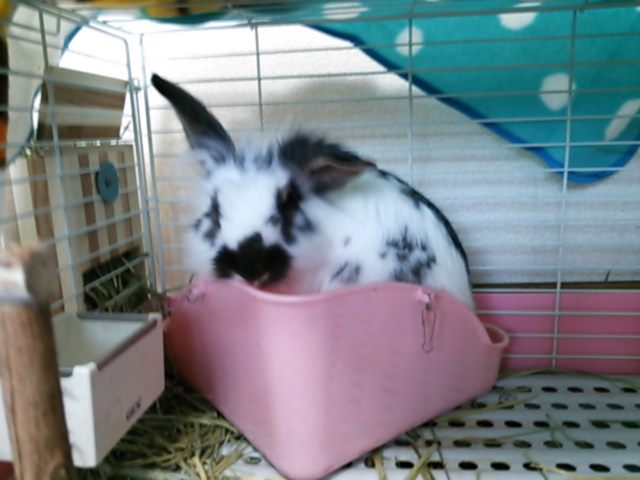 DSC_0098.JPG