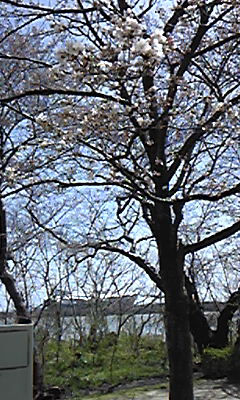 150404_121559.jpg