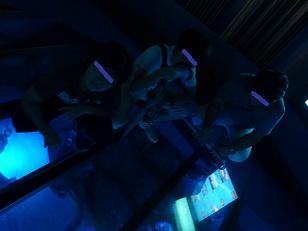 P1150235海洋博物館４.jpg