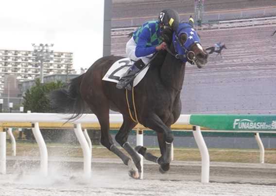 オマタセシマシタ | 地方競馬の楽天競馬｜日替わりライター