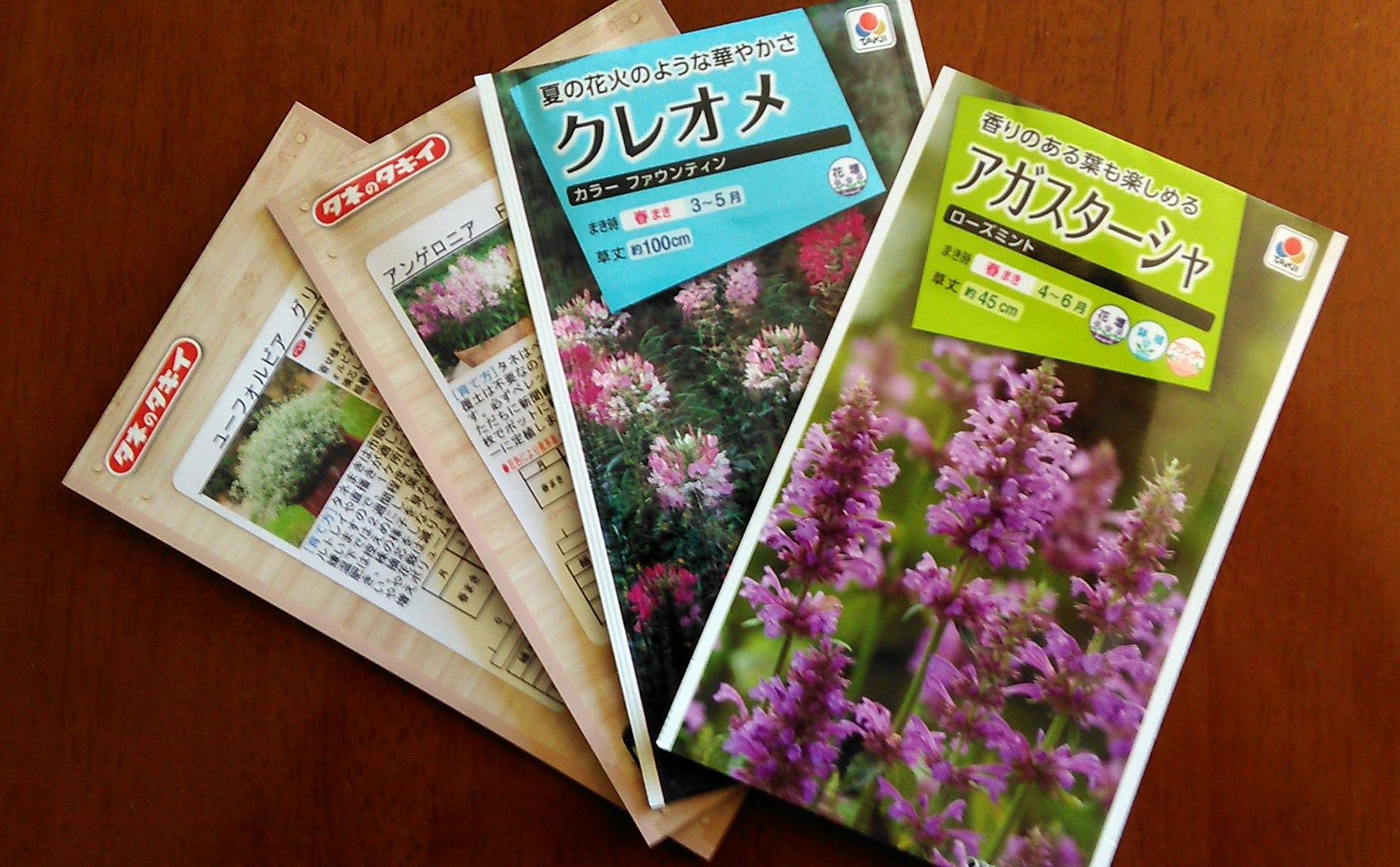 夏の花の種 Miraiの庭 つれづれに 楽天ブログ