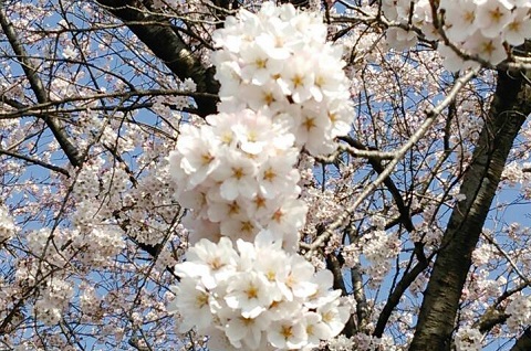 2015033103.jpg