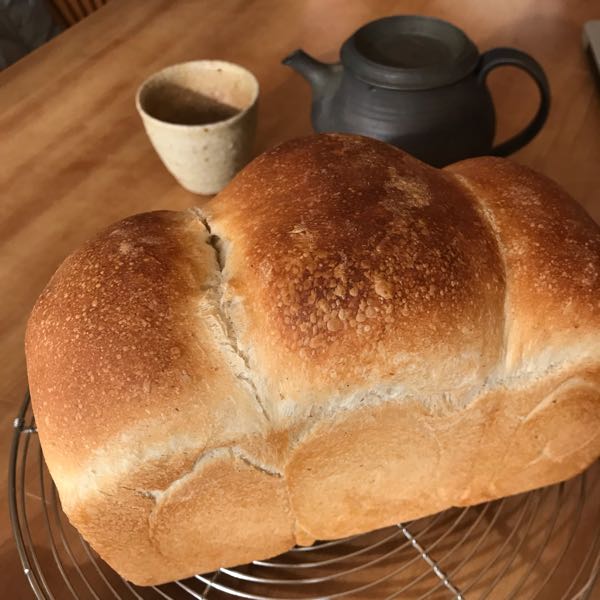 rblog-20190109105117-02.jpg
