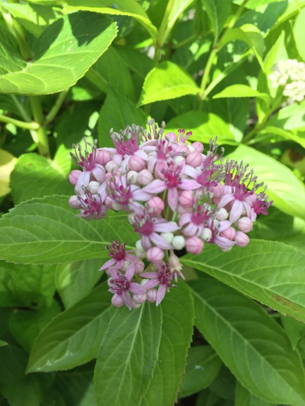 rblog-20160615174016-09.jpg